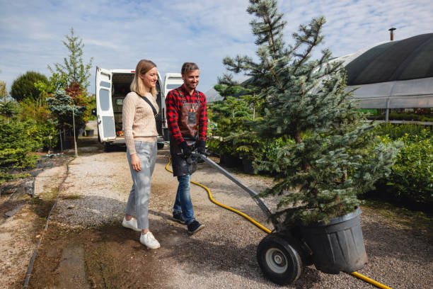 Best Tree Clearing Services  in Exton, PA